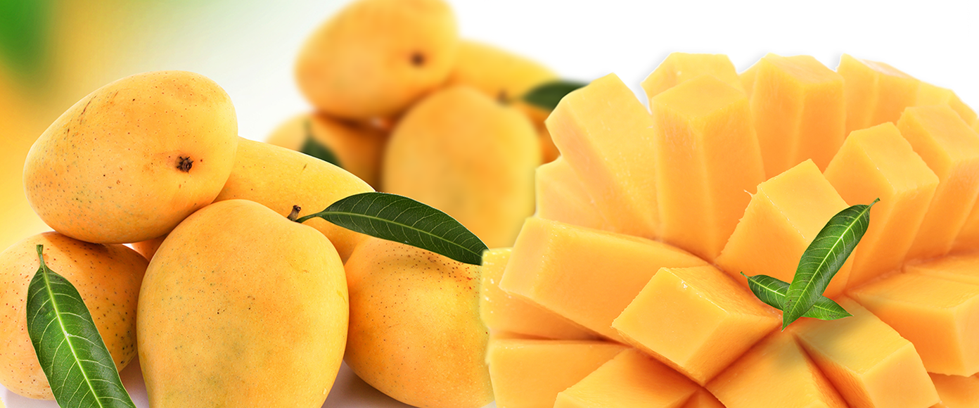 Why Exports of Pakistani Products are Decreasing?