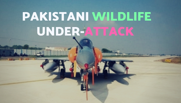 Israel India Collaboration